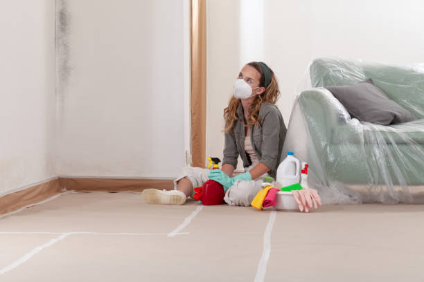 Reliable Mold Cleanup contractor in Hampstead, NC by Cheap Mold Removal